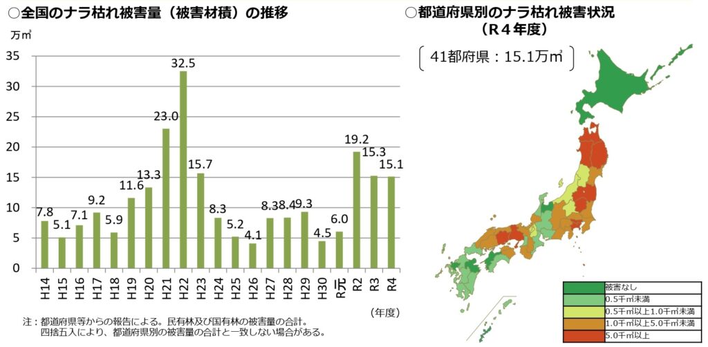 北海道にも「ナラ枯れ」が拡大　道南地域で計９本の被害木を初めて確認