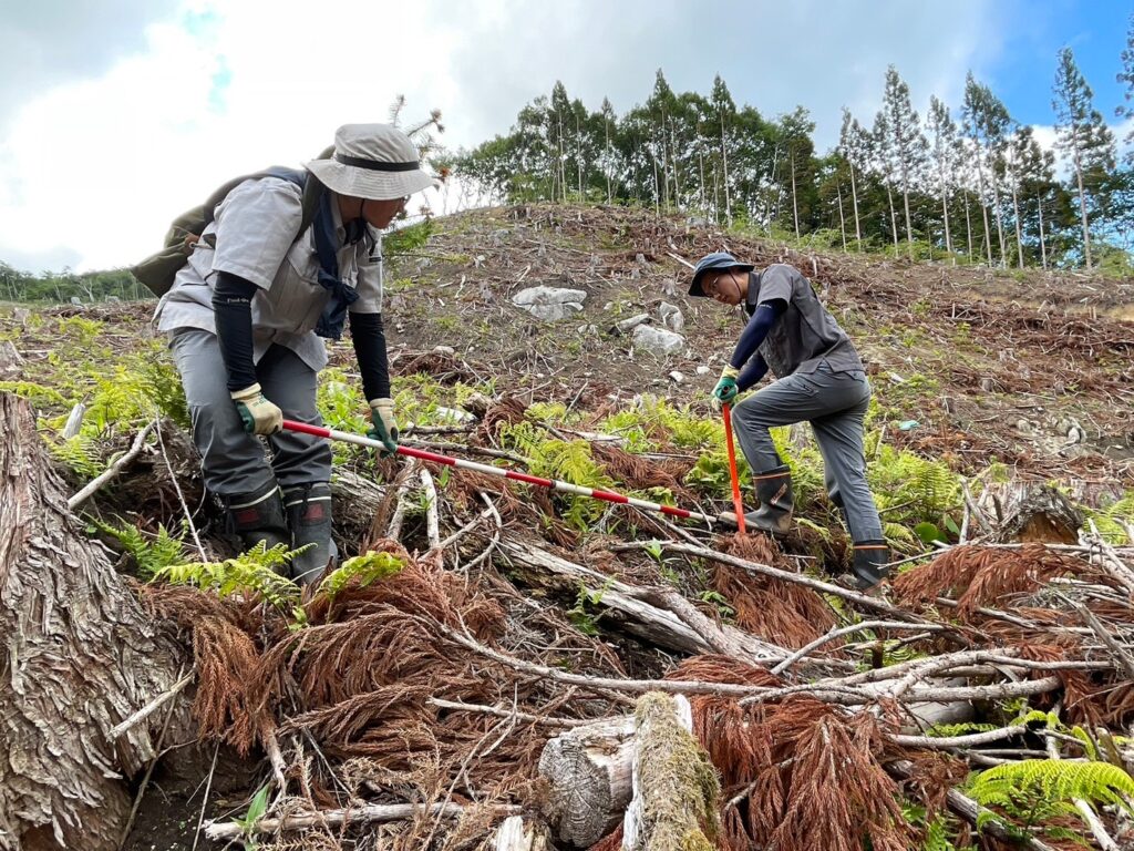 台湾人と協働し福島県内で早生樹植林推進 　レックが「特定活動」を通じて外国人材活用