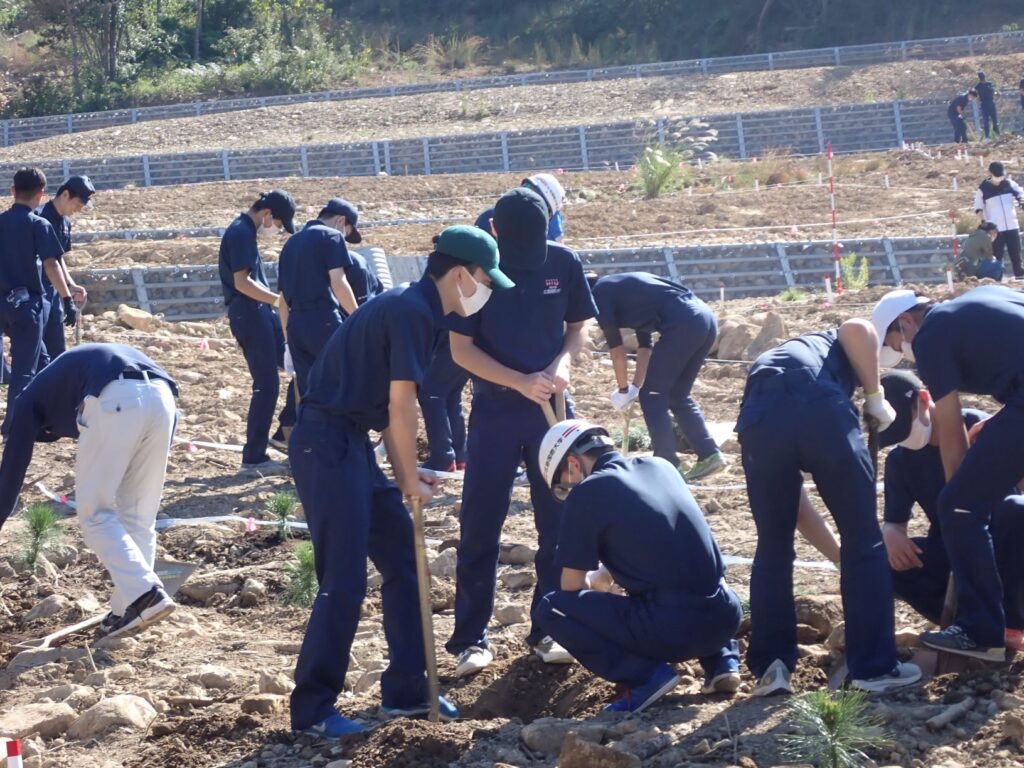 広島国際大学の学生が復旧治山事業の現場にアカマツを初植樹