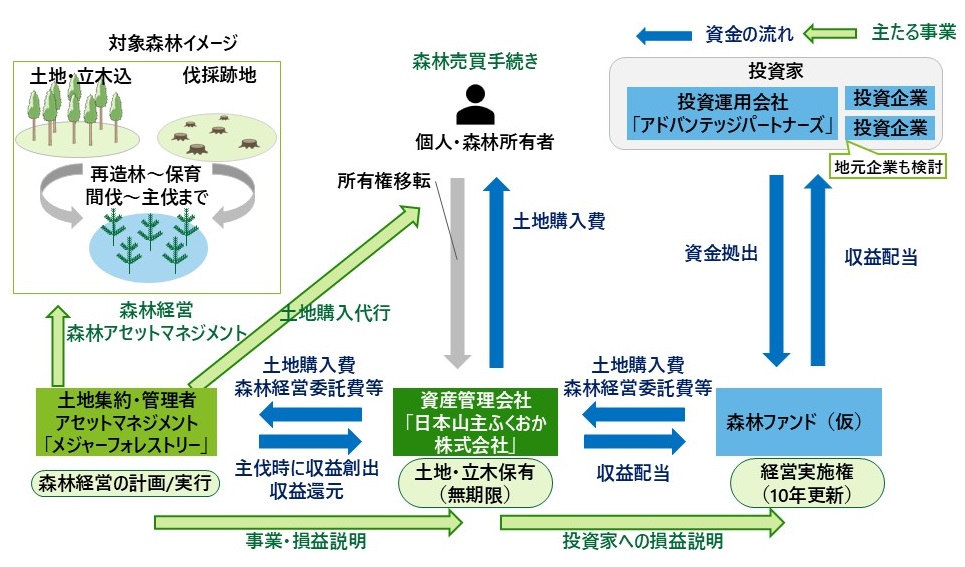 （後編）デロイトトーマツグループの林業再生構想【遠藤日雄のルポ＆対論】