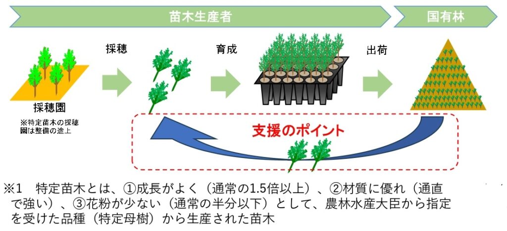 ３か年で４万8,000本の特定苗木供給、九州森林管理局が生産者と協定結ぶ