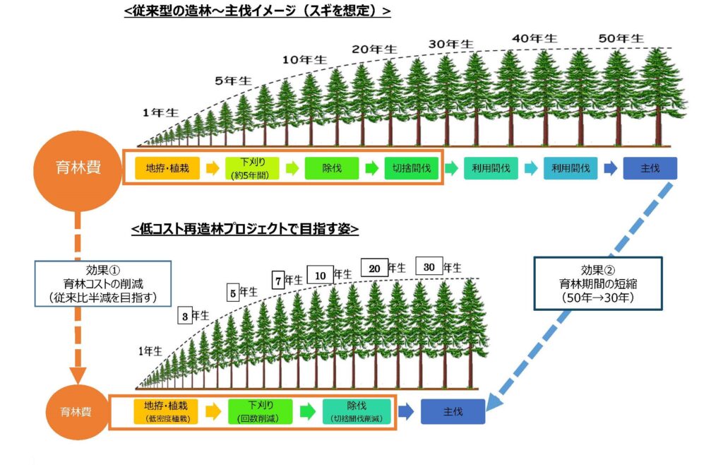 低コスト再造林と安全教育で全森連と農林中金が共同プロジェクト