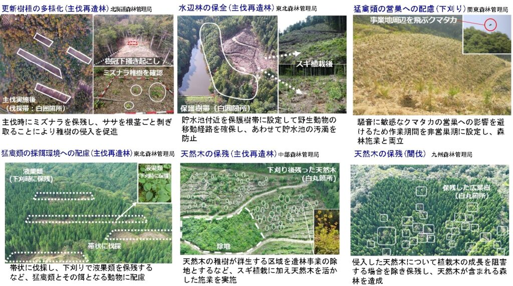 国有林野事業に新たな「立木システム販売」導入へ | 林政ニュース記事